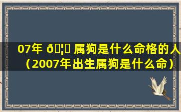 07年 🦟 属狗是什么命格的人（2007年出生属狗是什么命）